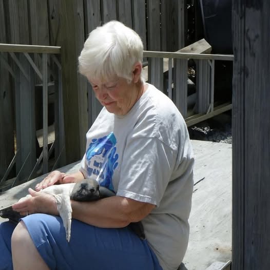 Jean Beasley Sea Turtle Conservationist  NC, Has Died